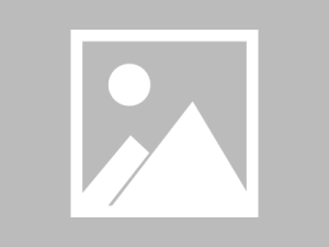 Google发布Gemini，超越GPT-4