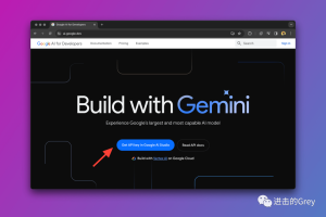 利用谷歌 Gemini API 一键部署体验谷歌最强模型 Gemini