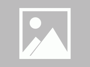 AI震荡：AMD Geminate 超越GPT-4，谷歌Gemini引爆科技风云