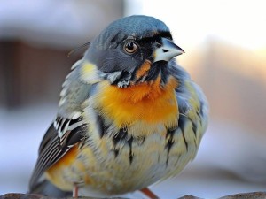 访问谷歌 Gemini 时遇到问题，通常与以下几个因素有关。你可以按照下面的步骤逐一排查